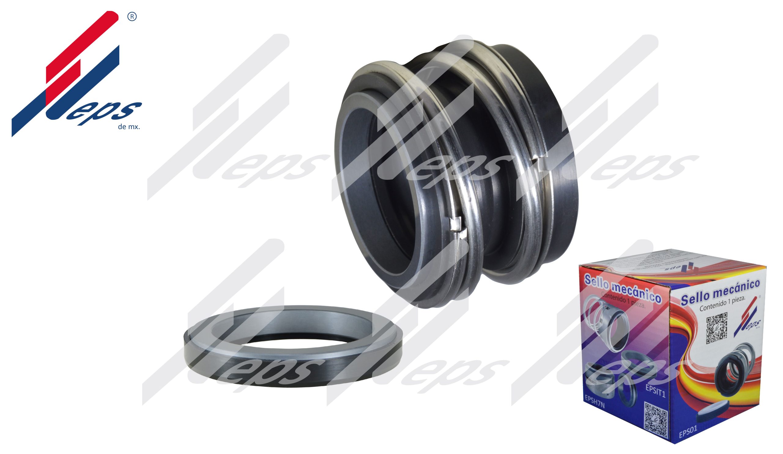 Relacionados MG12 2025_2