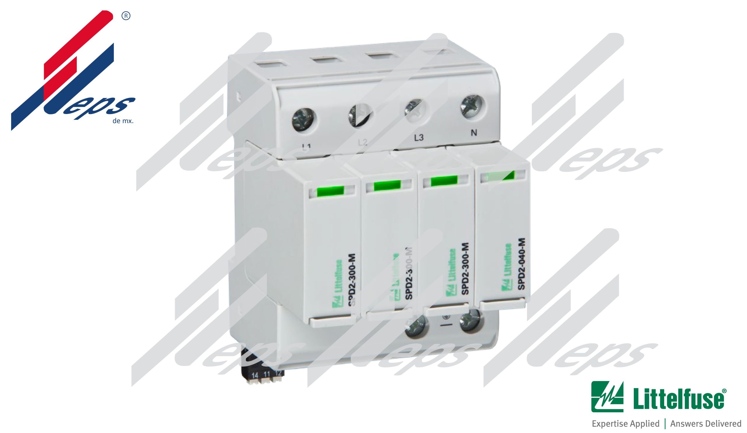 SPD2 3P+1 relacionados_1